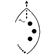 KwaZulu-Natal Tourism and Film Authority icon